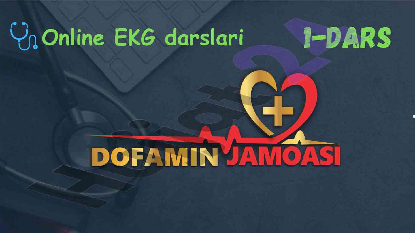 Online ekg darslari yurak anatomiyasi va fiziologiyasi