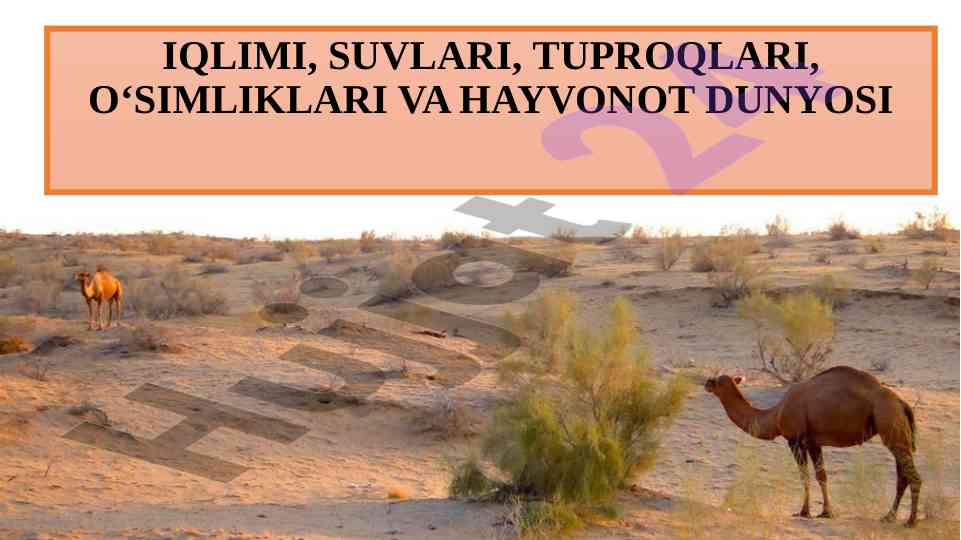 Qizilqum iqlimi va suv resurslari tadqiqoti