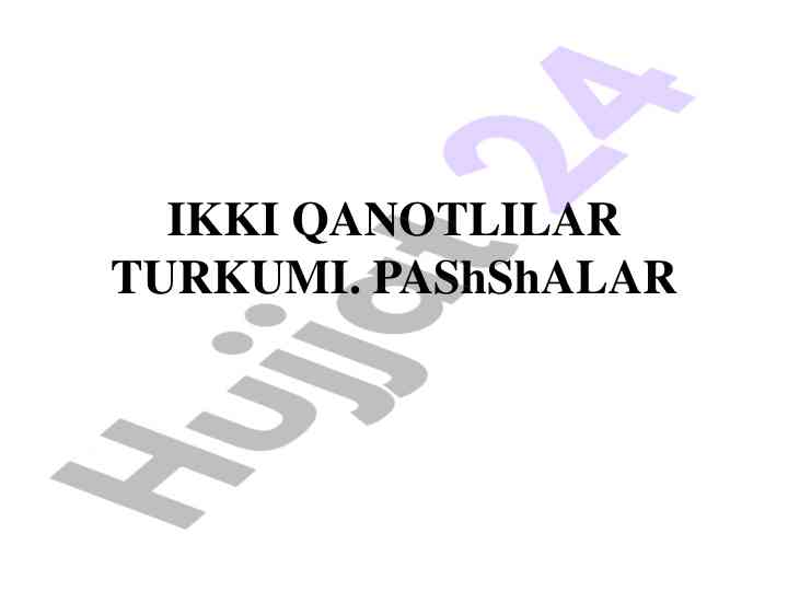 Pashshalar tushunchasi va ularning rivojlanishi