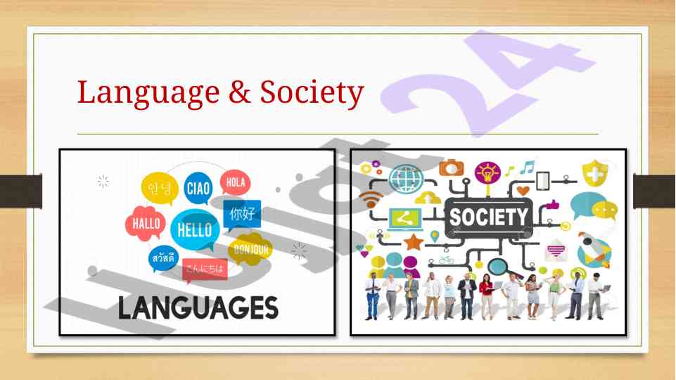 Language and society: exploring communication dynamics