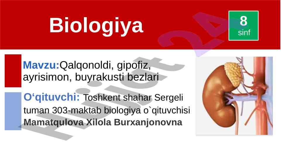 Qalqonoldi bezlari va gipofiz funksiyalari