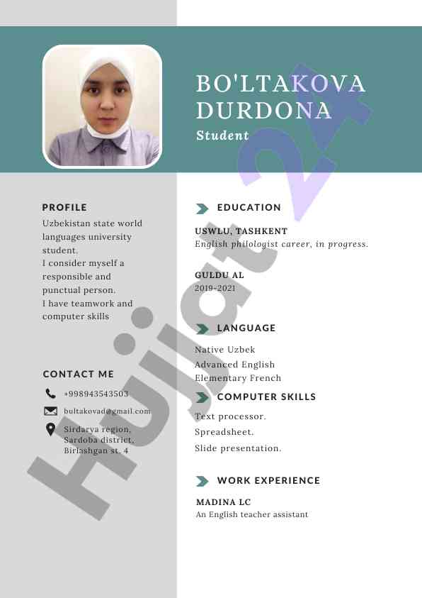 Student profile with language skills and experience