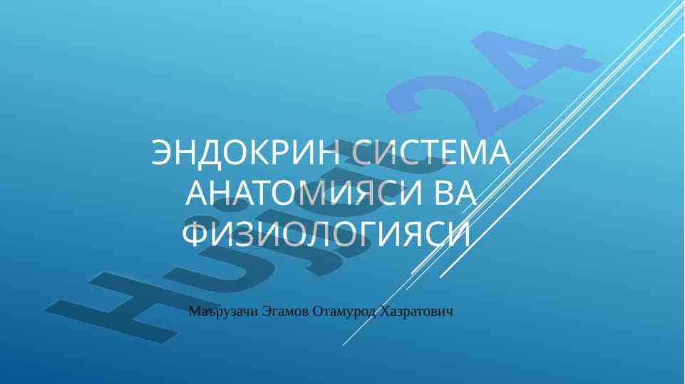 Эндокрин система анатомияси ва физиологияси т асослари