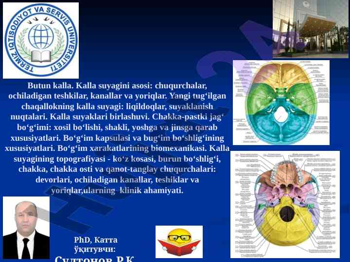 Kalla suyaklari va ularning anatomik xususiyatlari