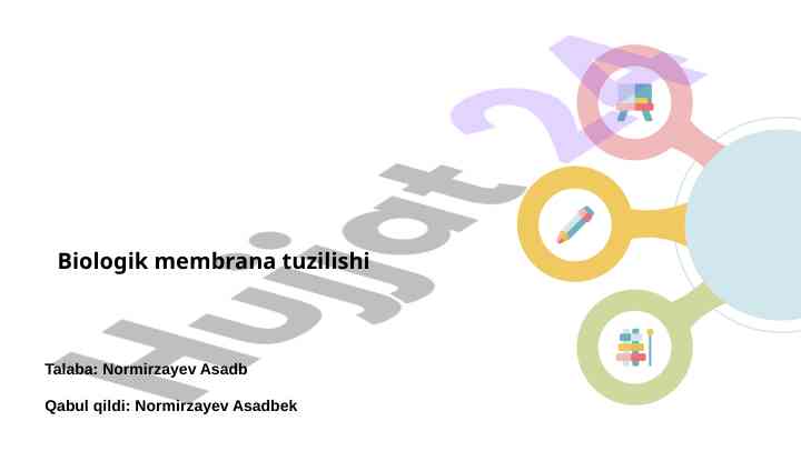 Biologik membrana tuzilishi va funktsiyalari