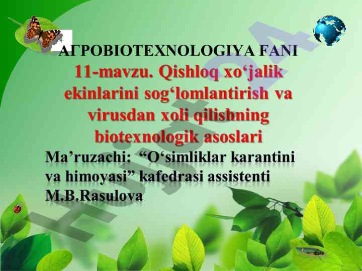 Biotexnologik yondashuvlar qishloq ekinlarini sog‘lomlashtirish