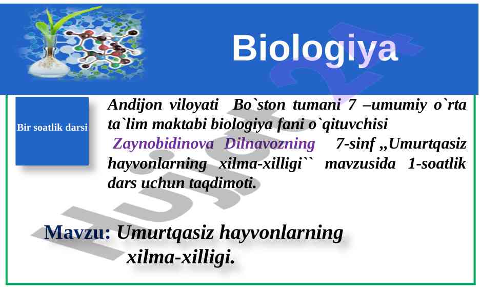 Umurtqasiz hayvonlarning xilma-xilligi dars taqdimoti