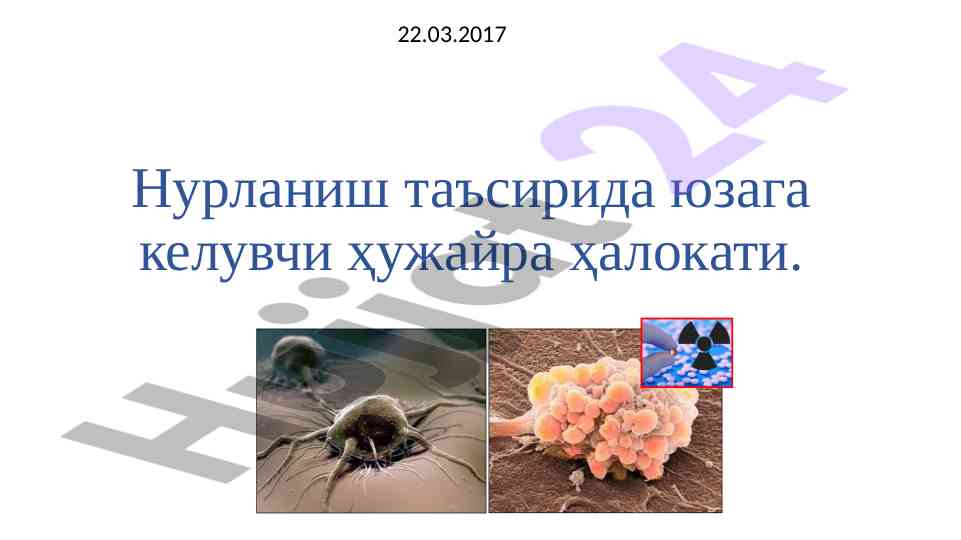 Нурланишнинг ҳужайра ҳалокатига таъсири
