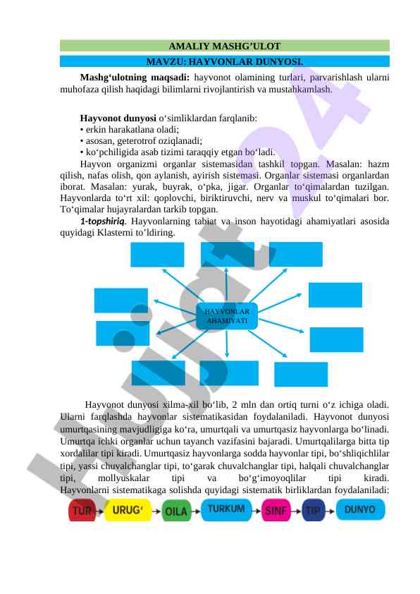 Hayvonlar dunyosida amaliy mashg'ulotlar