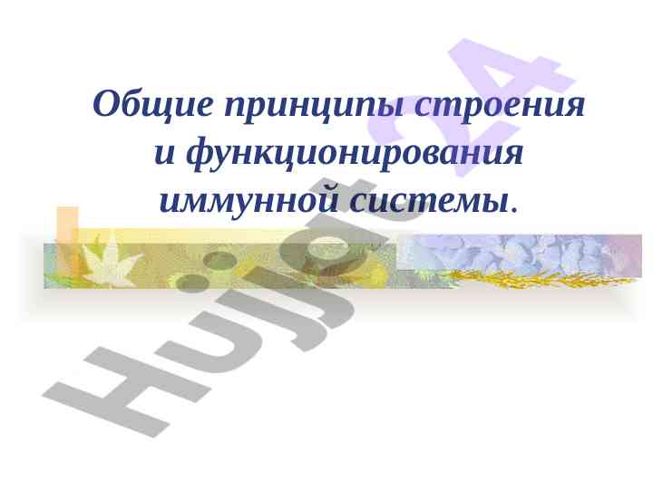 Общие принципы строения иммунной системы