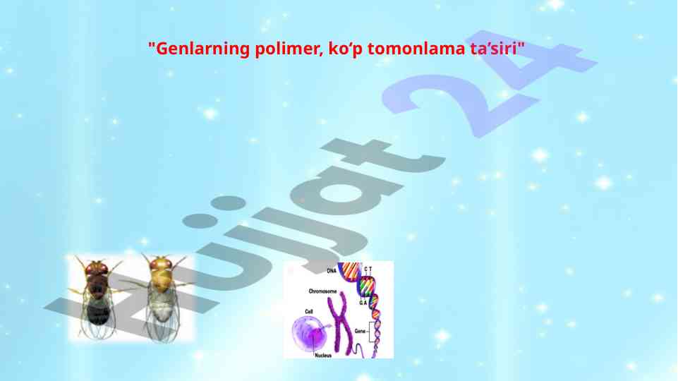 Genlarning polimer ko‘p tomonlama ta’siri
