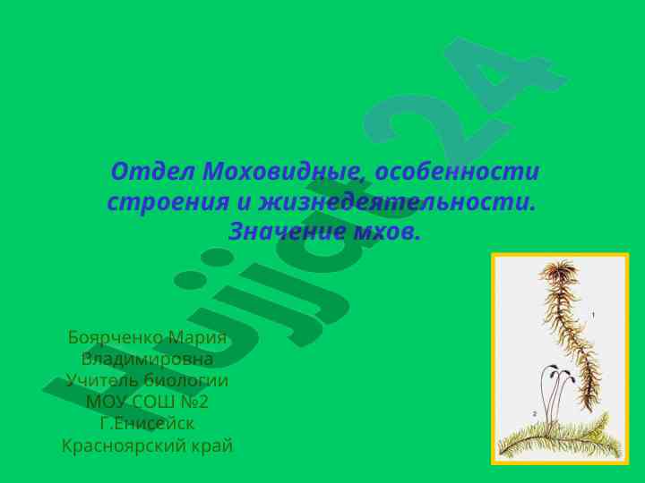 Моховидные особенности и жизнедеятельности растений