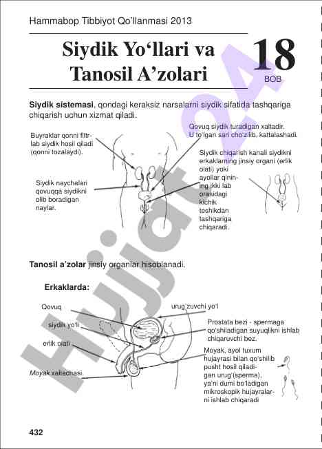 Siydik yo‘llari va tanosil a’zolari tibbiyot qo’llanmasi