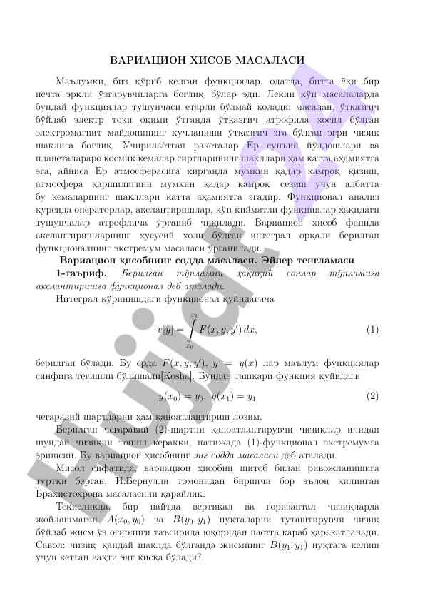 Variatsion hisob masalasi va uning ahamiyati