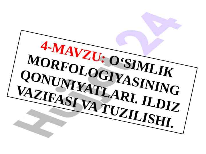 O‘simlik morphologiyasining qonuniyatlari va ildiz