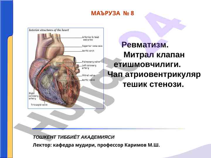 Rheumatism and mitral valve insufficiency overview