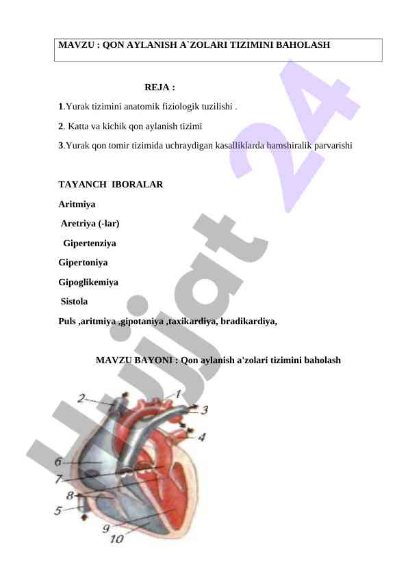 Yurak tizimi anatomik fiziologik tuzilishi