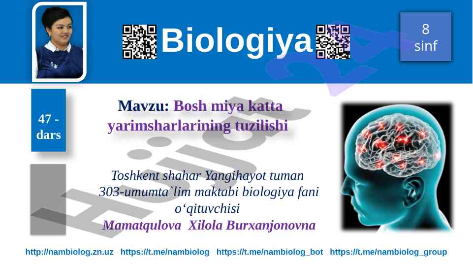 Bosh miya katta yarimsharlarining tuzilishi