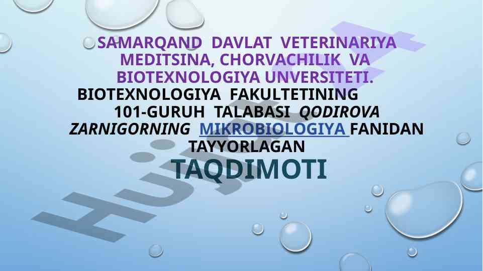 Trixoderma zamburug’i biologiyasi taqdimoti