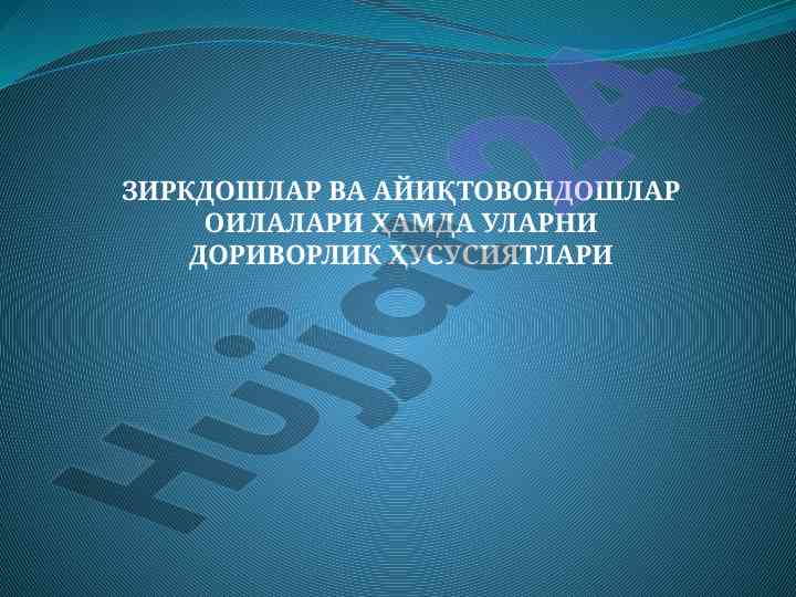 Зиркдошлар вa айиқтовонлар оиласи ҳусусиятлари
