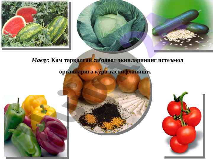 Кам тарқалган сабзавот экинлари таснифи