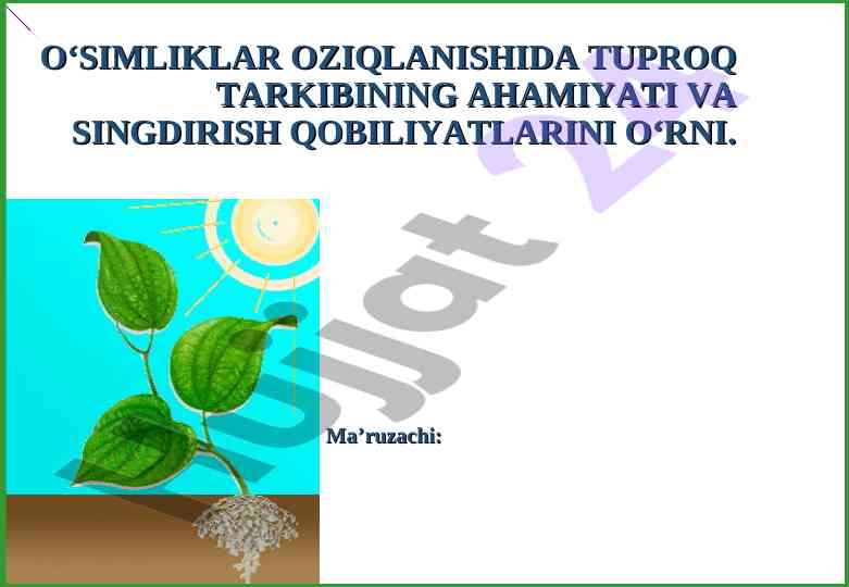 O‘simliklar oziqlanishida tuproq tarkibining ahamiyati