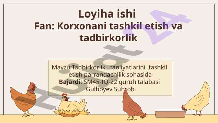Tadbirkorlik faoliyatlarini tashkil etish loyihasi