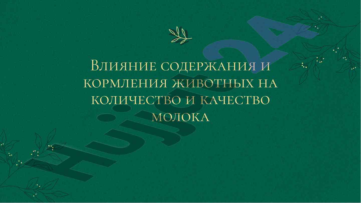 Влияние кормления животных на производство молока