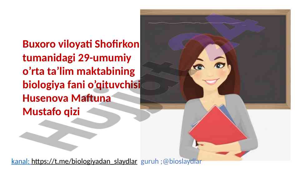 Qon tomirlarining tuzilishi va yurak aylanishi