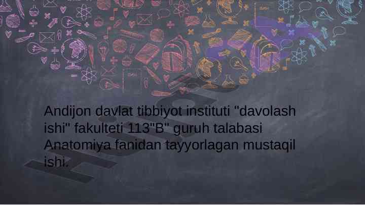 Anatomiya fanida ko'krak va qorin mushaklari