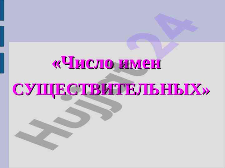Число имен существительных в русском языке
