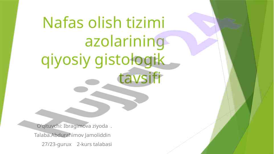 Nafas olish tizimi azolarining gistolik tavsifi