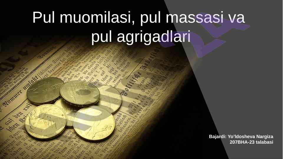 Pul muomalasi asoslari va tizimlari