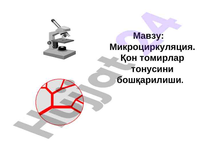 Микроциркуляция ва қон томирлар тонусини бошқариш