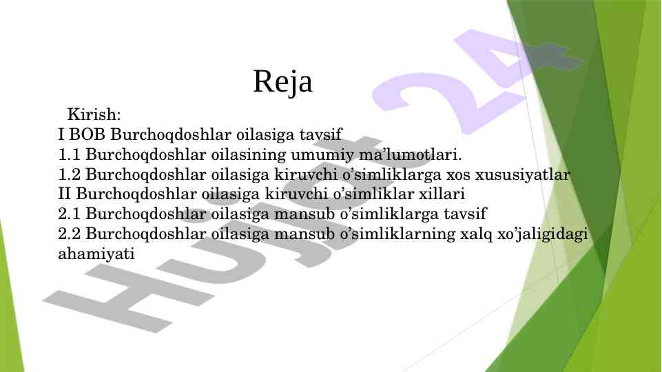 Burchoqdoshlar (fabiaceae) oilasiga kiruvchi o'simliklar