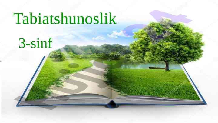 Tabiatshunoslik 3-sinf mustaqil topshiriq savollari