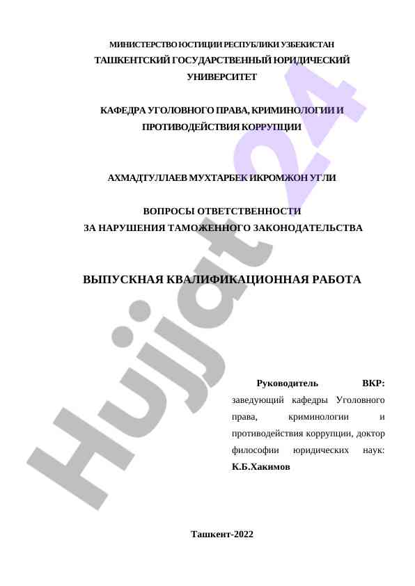 Responsibility for customs legislation violations