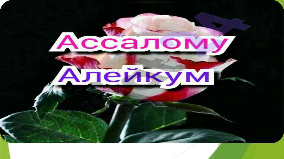Onlayn tarjimon dasturlar bilan ishlash