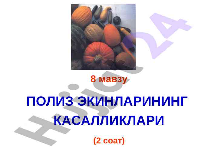 Полиз экинлари касалликлари ва уларнинг кураши