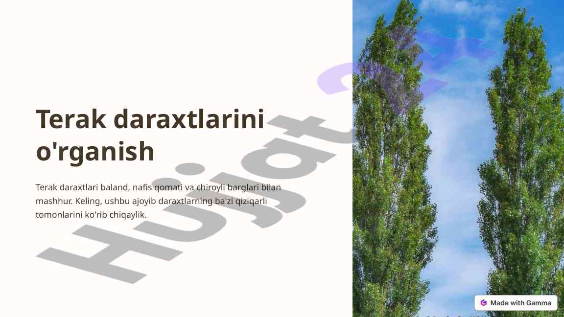 Terak daraxtlarini o'rganish va turlari haqida
