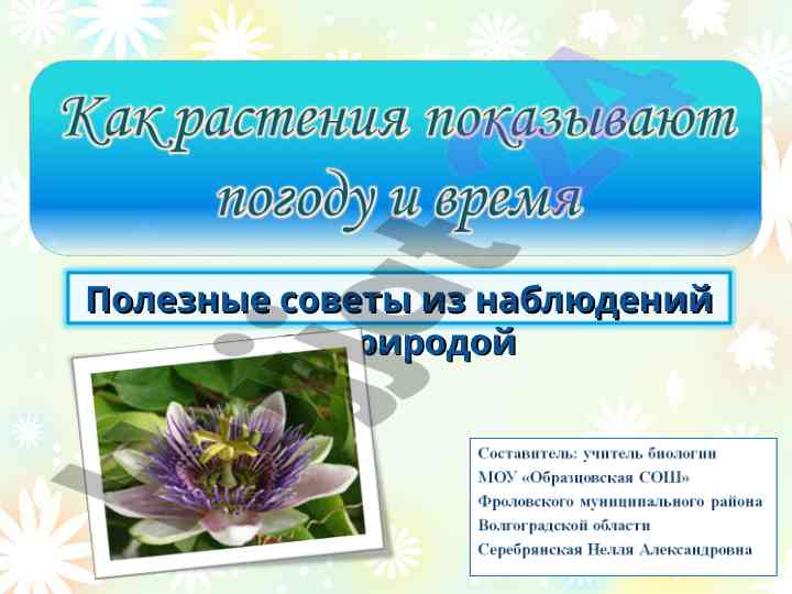 Прогнозирование погоды по признакам природы
