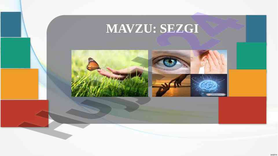 Sezgi jarayonlari va ularning tasnifi