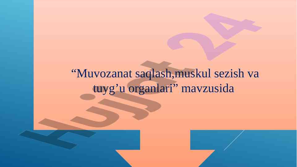 Muvozanat saqlash va muskul sezish organlari