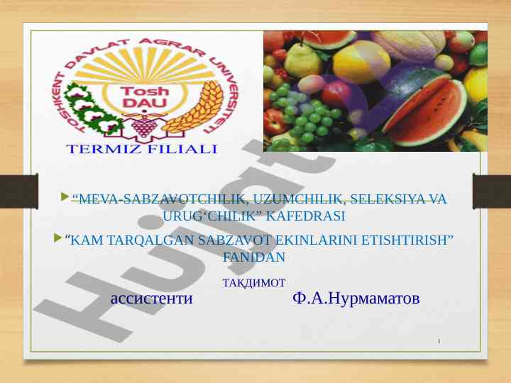 Kam tarqalgan sabzavot ekinlari etishtirish taqdimoti
