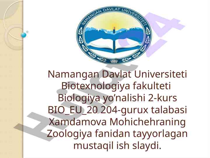 Qushlarning uchishga moslashganlik belgilari va turli-tumanligi