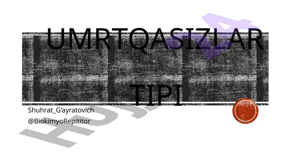 Hayvonlar tipi va ularning xususiyatlari