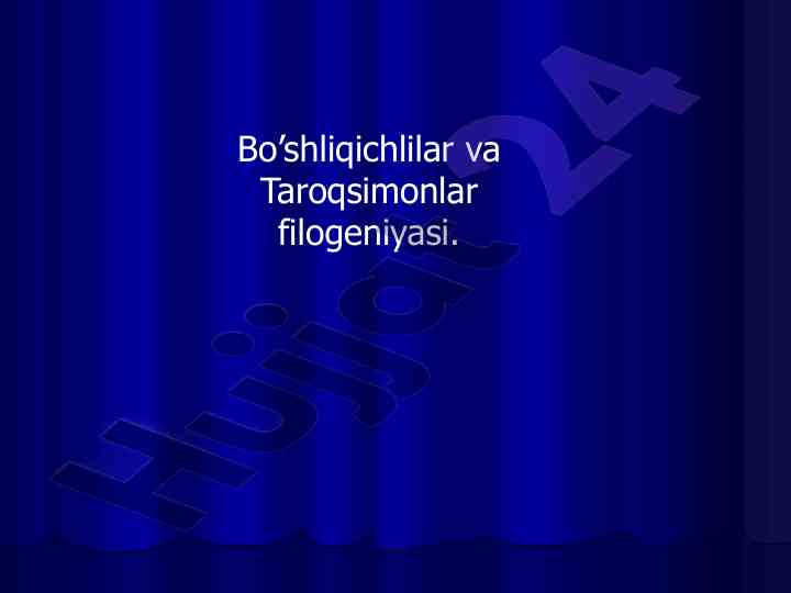 Bo’shliqichlilar va taroqsimonlar filogeniyasi