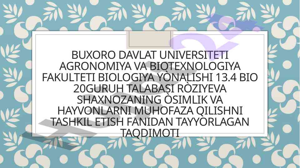 Chilonjiydadoshlar oilasi maqomi va tavsifi