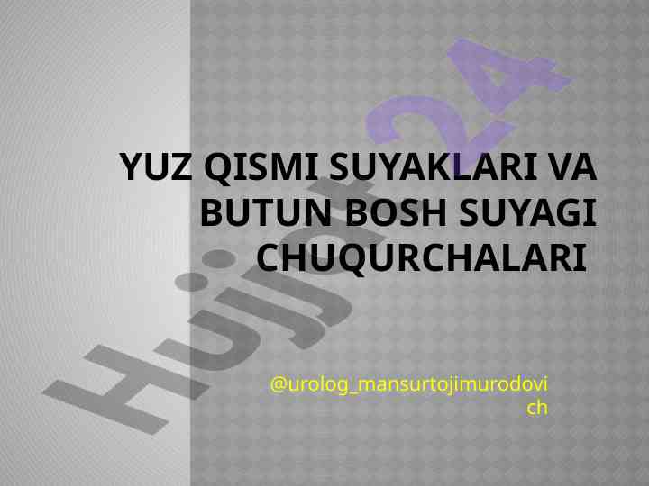 Yuqori jag’ suyagi tuzilishi va funksiyalari