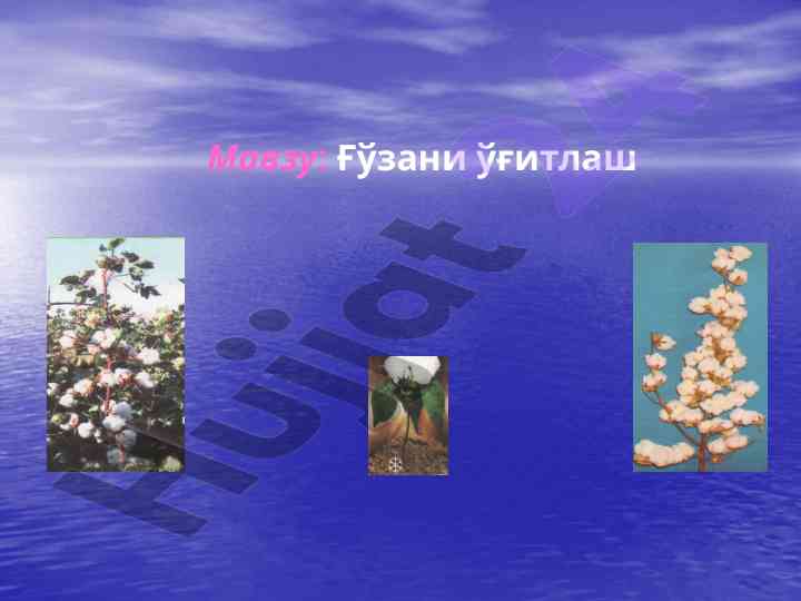 G'oza o'g'itlash asoslari va usullari